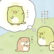 かまぼこの画像