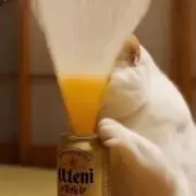 もた(ペット×タバコ×)の画像