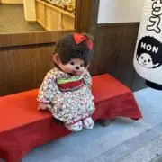 TORACOの画像