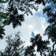meyoukeyの画像