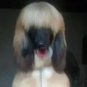 0ppの画像