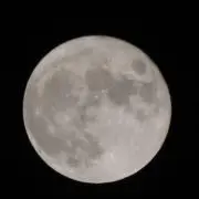 こはせなプロフ必読願いますの画像