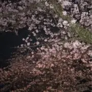 125の画像