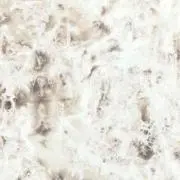 TSの画像