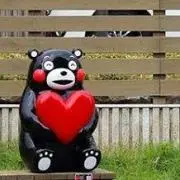 kuro3の画像