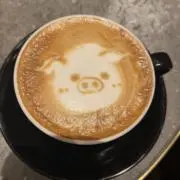 たぬきの画像