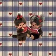 もんちの画像