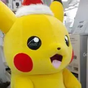 コウの画像