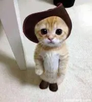 ノンさんの画像