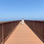 ぽんらいすの画像