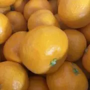 みかんの画像
