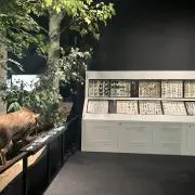 かの画像