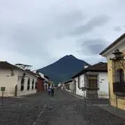 WMUの画像