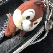 tomatomaoto