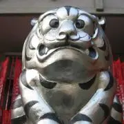 のりのりグラサンの画像