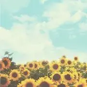 てんとうむし☆