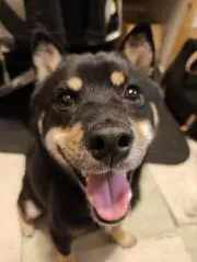 ななすなすの画像