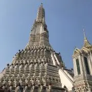 ここきゃりーの画像