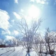 Chiliの画像