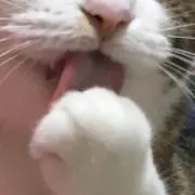 ざきこ