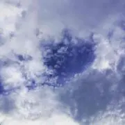 haruの画像