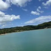 れんちゃまの画像