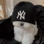 ぴのの画像