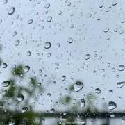 Manyoの画像