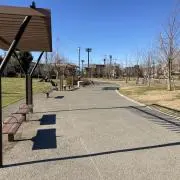 Shunnyの画像
