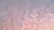 きりんの画像