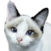 JACK★POTの画像