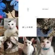 中村