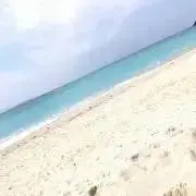 夏が来るの画像