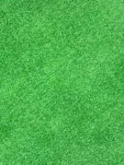 出の画像