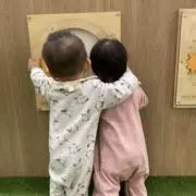 ミドリ米
