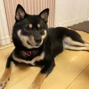 akkonの画像