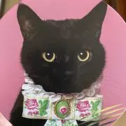 おりょりょ