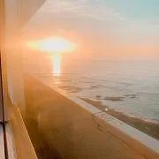 ハカナの画像