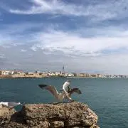 Mar