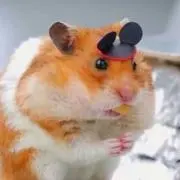 くろの画像