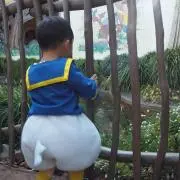 naoの画像