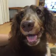 まりも
