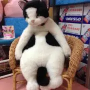 みちゃむ 発送8月になります。