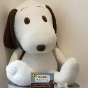 akiaの画像