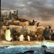 はしの画像
