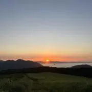 wheelの画像