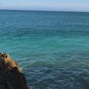 しんしんの画像
