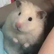 らら
