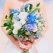 イチゴの画像