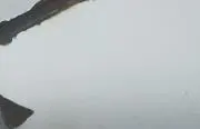 reiの画像